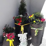 Weisskugel