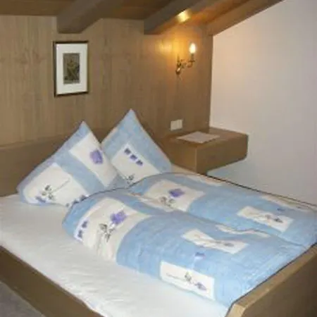 Penzion Weisskugel 3*